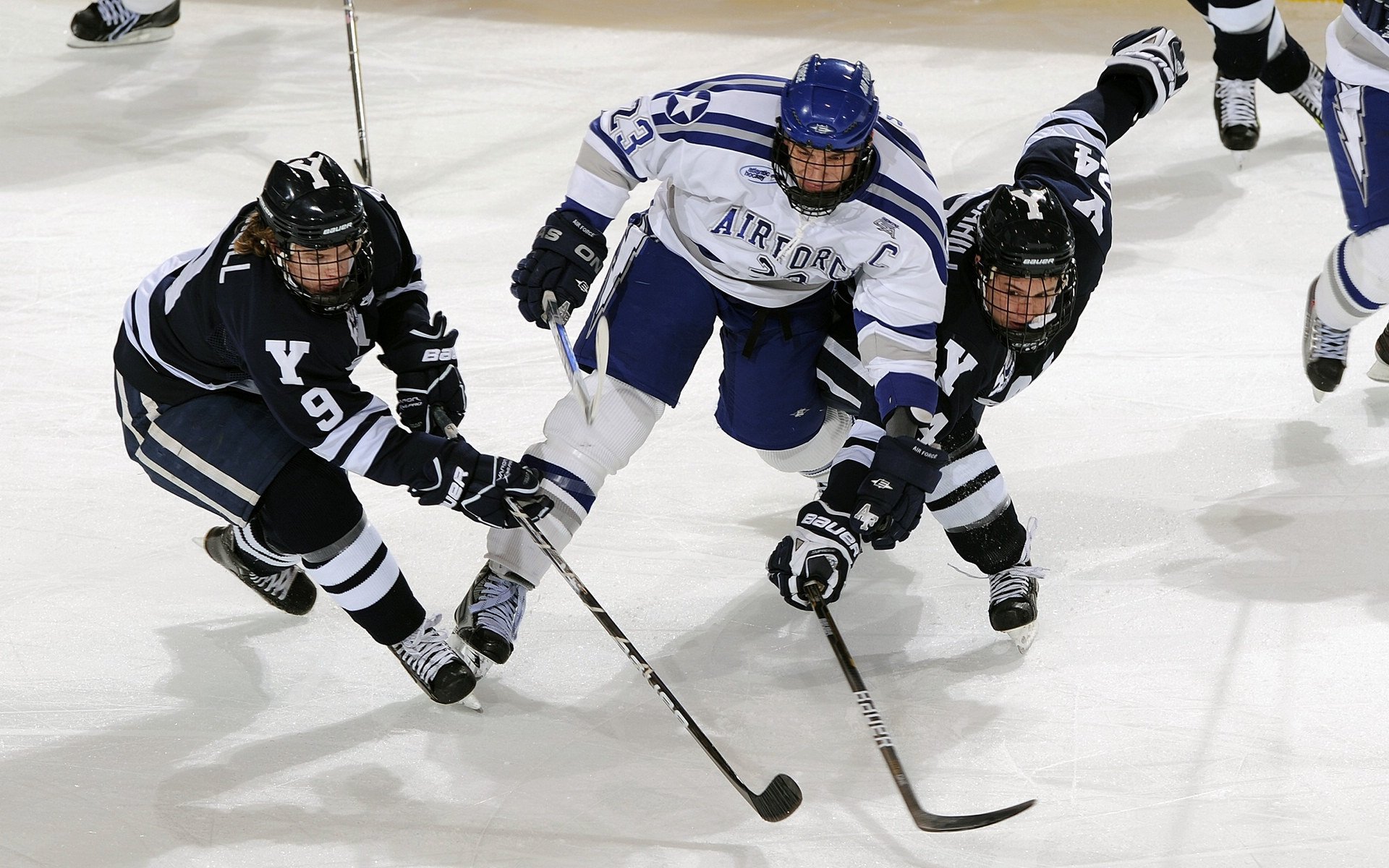 城市帮派篮球争霸战，青春热血的街头竞技，城市篮球挑战赛在哪里